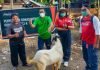 Idul Adha 1443H, Coca-Cola Europacific Partners Indonesia Salurkan Hewan Kurban Kepada Masyarakat Sekitar Pabrik
