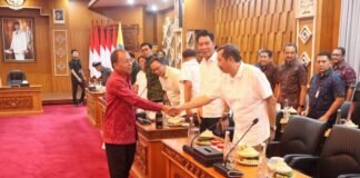 Bali Mandiri Energi Bersih dan Air, Gubernur Koster Bentuk BUMD dan Perseroda