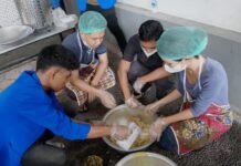 Pembudidaya Ikan Lele Didorong Hilirisasi Produk Guna Peningkatan Pendapatan