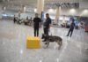 BNNP Bali Perketat Pemeriksaan Narkoba di Bandara Ngurah Rai dengan Anjing Pelacak