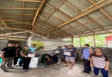 Kurangi Penggunaan Pupuk Anorganik, Petani di Bangli Diminta Optimalkan Pupuk Kotoran Sapi