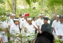 Gubernur Koster Tinjau Taman Gumi Banten dan Usadha Besakih: Lestarikan Tanaman Upakara dan Usadha Bali untuk Keberlanjutan Alam dan Budaya