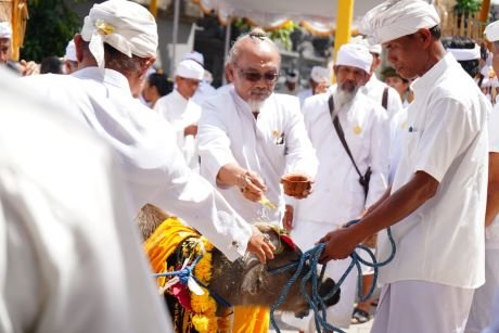 Gambar WhatsApp 2025-09-06 pukul 06.02.15_bbcb74db