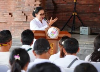 Transformasi 6 SPM Posyandu, Kader Kini Lebih Cepat dan Efektif Tangani Permasalahan Masyarakat