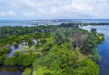 Ruang Hijau Terjaga, KEK Kura Kura Bali Menjadi Habitat Beragam Satwa