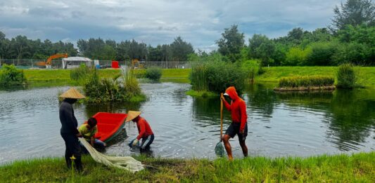 KEK Kura Kura Bali Gandeng Komunitas Nukari, Dorong Pemanfaatan Lahan dan Kolam Serta Berdayakan Warga Serangan