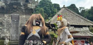 Penglipuran Gelar Barong Landung saat Imlek 2026, Wisatawan Diajak Rasakan Harmoni Budaya