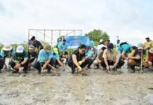 Dihadiri Langsung Wagub Bali, Puluhan Jurnalis di Bali Tanam 1000 Pohon Mangrove, Kampanye Satu Pohon Mangrove untuk Sejuta Manfaat