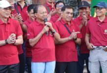 Saat Lepas Jalan Sehat HUT PPNI, Koster Sebut Perawat Terdepan Bangun Kesehatan Masyarakat di Bali