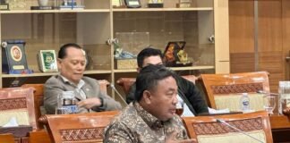 Nyoman Partha Soroti Kepastian Hukum Usai Putusan Bebas Kasus Video Profil Desa di Karo