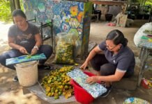 Dukung Program Walikota Denpasar Olah Sampah Organik, Komunitas Angen Desa Serangan dan BTID Sulap Sampah Organik Jadi Cairan Multifungsi