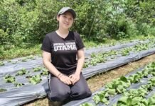 Tak Harus di Kantor, Kartini Muda Ini Pilih Sawah dan Kembangkan Usaha Lewat Aplikasi BRImo