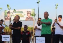 Gubernur Koster Ajak Sinergi Tingkatkan Cakupan Ruang Hijau Bali dengan Tanam Mangrove di Tanjung Benoa