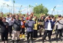 Gubernur Koster Apresiasi Gerakan Tanam Mangrove Inisiatif Kemendagri, Seleras Program Pemprov Bali