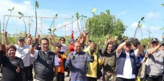 Gubernur Koster Apresiasi Gerakan Tanam Mangrove Inisiatif Kemendagri, Seleras Program Pemprov Bali