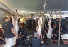 LDII Bali Salurkan 10 Ribu Lebih Paket Daging Kurban Sesuai Tradisi Ngejot Bali