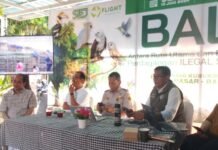 Ketegasan Koster Bikin BKSDA Bali Terima 16 Monyet Ekor Panjang Tahun 2026