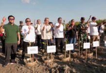 Upaya Memuliakan Bumi, Walikota Jaya Negara Ikuti Aksi Tanam 3000 Pohon Mangrove di Mangrove Arboretum Park, Pedungan