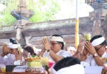 Wagub Giri Prasta Hadiri Karya Tawur Labuh Gentuh di Catus Pata Desa Sibanggede, Apresiasi Semangat Krama Jaga Tradisi Leluhur