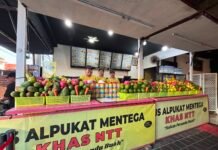 QRIS BRI Permudah Transaksi Fruit Junkies, Penjualan Jus Capai 200 Cup per Hari
