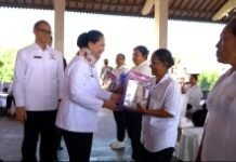 TP Posyandu Bali Sosialisasikan Transformasi Posyandu dan Serahkan Bantuan kepada 110 Kader
