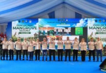 Puncak Peringatan Hari Mangrove Dunia Digelar di Bali, Angkat Tema “Menjaga Mangrove Mengamankan Generasi Mendatang”