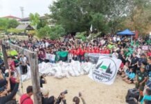 Peringati Hari Mangrove Sedunia 2026, FPM Bali Bersama Komunitas Peduli Lingkungan Bersihkan Sampah dan Tanam Mangrove