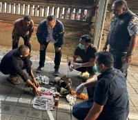 Dikirim dan Disembunyikan dalam Knalpot, BNN Provinsi Bali Bongkar 4 Jenis Narkoba Jaringan Kamboja