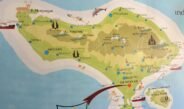 Bali Masih Bersih dari Virus Zika