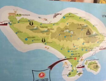 Bali Masih Bersih dari Virus Zika