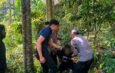 WNA Nigeria Overstay 8 Tahun, Dikejar Hingga ke Area Kebun Warga di Selemadeg Tabanan