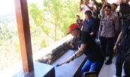Bangun Vila di Hutan Desa, Tindak Tegas Koster dengan Pimpinan Langsung Pembongkaran Bangunan Vila