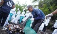 Kolaborasi dengan Sungai Watch dan Relawan, Gerakan Kulkul PKK dan Posyandu Bersihkan Kawasan Hutan Bakau Sidakarya Denpasar