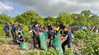 Jelang Tumpek Wayang, Pemprov Bali Gelar Aksi Bersih Sampah Serentak, Kumpulkan 3,56 Ton Sampah di Mangrove Pesanggaran