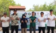 Wagub Giri Prasta Bersama IWO Bali Tanam Mangrove, Ajak Semua Pihak Jaga Kelestarian Mangrove